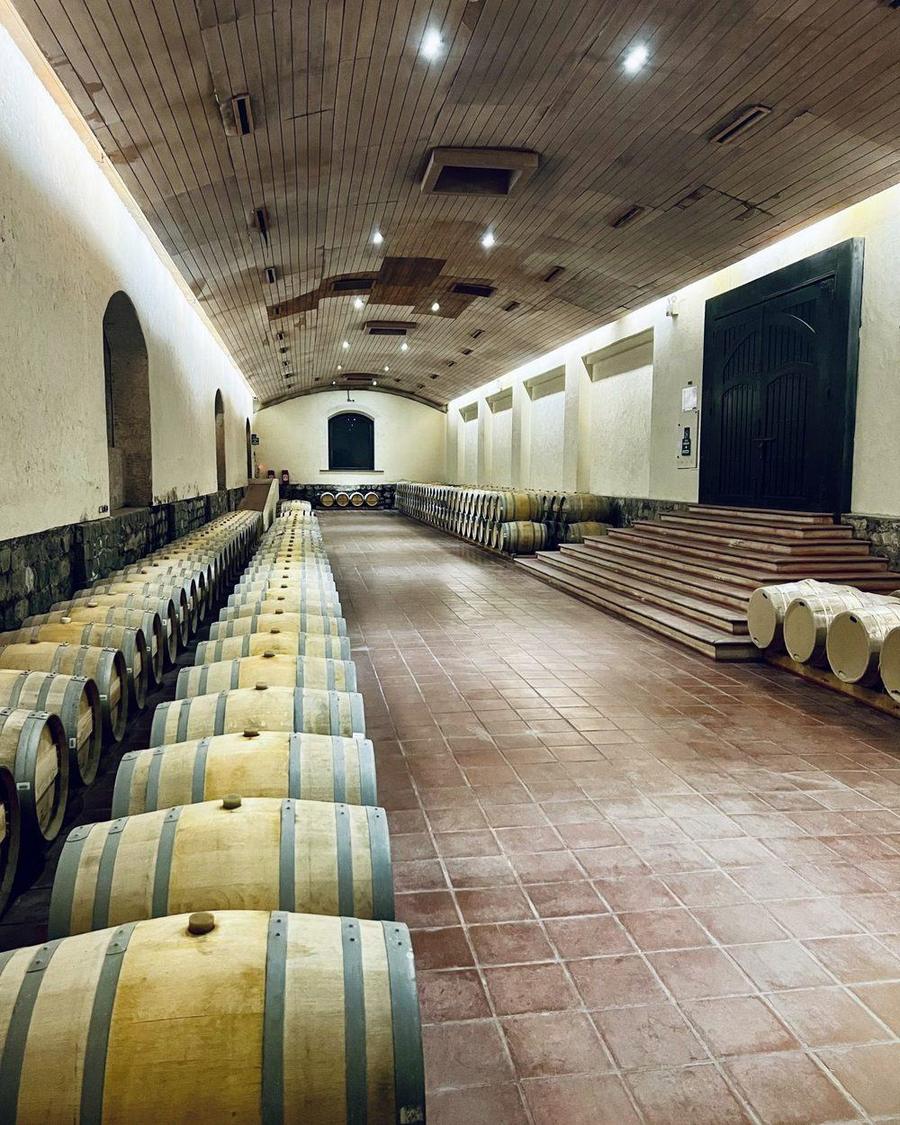 Barrels resting in a vaulted cellar